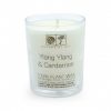 Ylang Ylang & Cardamon- Votive Aromatherapy Candle