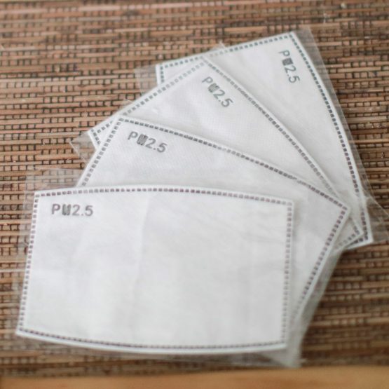 4x PM2.5 Face Mask Filter Insert Adult or Children Sizes